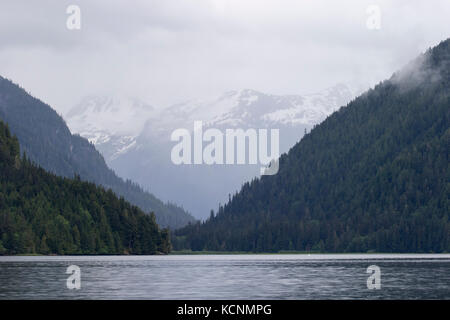 Khutzeymateen grizzly d'admission, sanctuaire, British Columbia, canada Banque D'Images