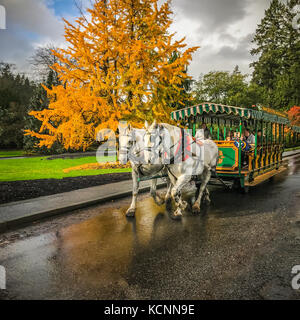 Les touristes prenant part à une calèche guidée autour de Stanley Park, un espace naturel entouré par les eaux fraîches de l'océan Pacifique à Vancouver, Colombie-Britannique, Canada Banque D'Images