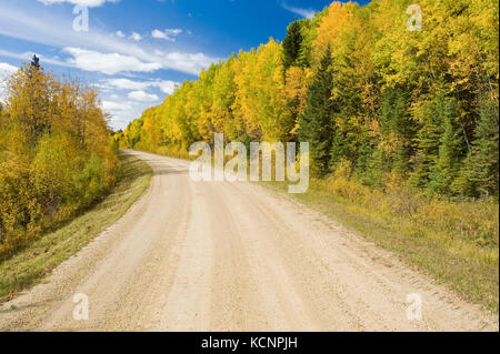 Route de campagne à travers la forêt boréale, le Parc provincial Duck Mountain, Manitoba, Canada Banque D'Images