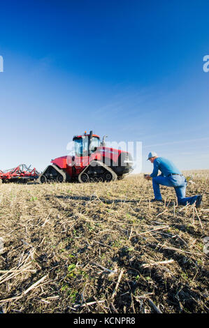 Agriculteur en Quad-Trac /champ tracteur et le semoir pneumatique la plantation de blé d'hiver dans un champ jusqu'à zéro dans l'arrière-plan, près de Lorette, Manitoba, Canada Banque D'Images