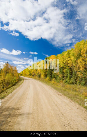 Route de campagne à travers la forêt boréale, le Parc provincial Duck Mountain, Manitoba, Canada Banque D'Images