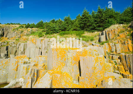 Falaises de basalte, l'île Brier, baie de Fundy, en Nouvelle-Écosse, Canada Banque D'Images