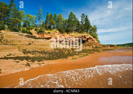 Marée descendante/littoral près de grès, de l'économie dans le bassin Minas, baie de Fundy, en Nouvelle-Écosse Banque D'Images