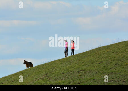 Les jeunes filles avec de gros chien à Barton Hills Réserve naturelle nationale dans le Bedfordshire, Angleterre, RU Banque D'Images