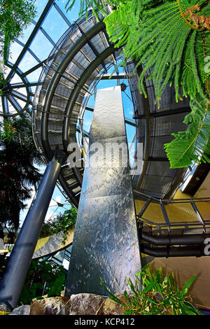 Sunderland Winter Gardens, promenade dans la jungle et chute d'eau intérieure Banque D'Images