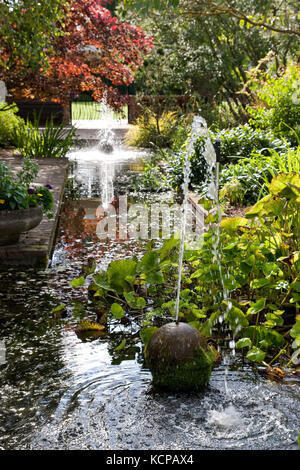 Le jardin d'eau dans les jardins de l'abbaye, Bury St Edmunds Banque D'Images