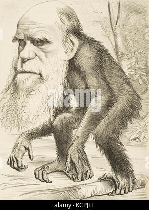 Caricature représentant Charles Darwin comme un singe (1871) Banque D'Images