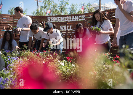 Las Vegas, USA. 6Th oct, 2017. Le oct. 6, 2017, dans le centre de las vegas, nev., les bénévoles travaillent sur le las vegas la guérison communautaire jardin pour commémorer les victimes de la route 91 harvest festival de musique country de prise de masse. crédit : Jason/ogulnik alamy live news Banque D'Images