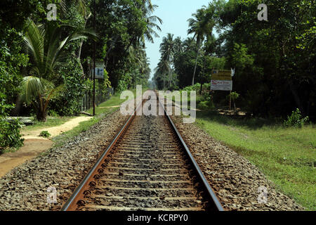 Bentota Sri Lanka Train Tracks et palmiers Banque D'Images