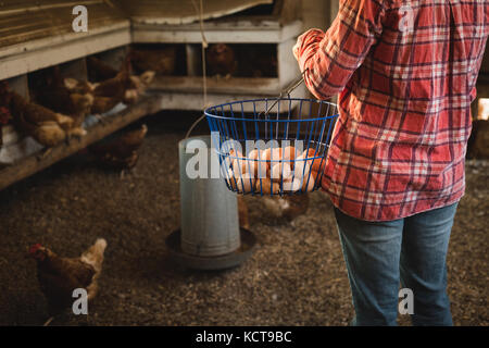 La mi-section de farmer holding panier d'œufs Banque D'Images