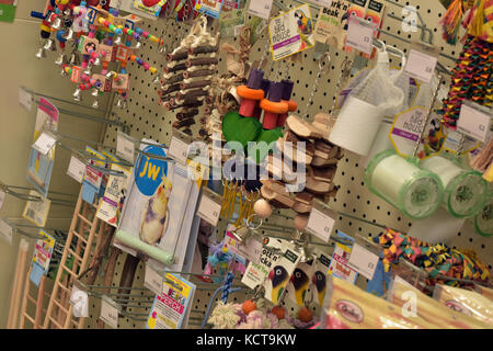 Une sélection d'accessoires en cage perroquet coloré sur la vente à un important détaillant de fournitures pour animaux de rue. des oiseaux de cage Fournitures et accessoires. Banque D'Images