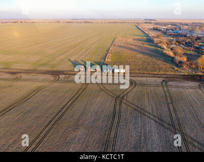 L'exportation d'engrais pour les champs. printemps plantes fertilisantes Banque D'Images