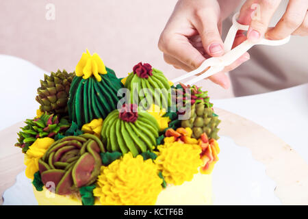 Un gros plan de la pâtisserie fait d'une crème de cactus vert et jaune sur un gâteau jaune avec bicquets, farce de groseilles et fromage Banque D'Images