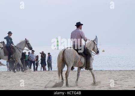 Courant des taureaux sur la plage de Palavas-les-Flots dans le cadre de la Feria d'automne, Hérault, France Banque D'Images