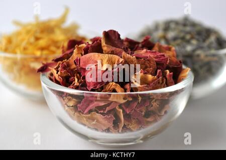 Pétales séchés de plantes médicinales et aromatiques à des fins cosmétiques, alimentaires et médicales. Close-up dans des bocaux en verre sur fond blanc. Banque D'Images