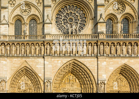 Pierre complexes sur la façade de Notre Dame de Paris, France Banque D'Images