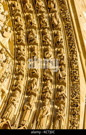 Pierre complexes sur la façade de Notre Dame de Paris, France Banque D'Images