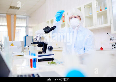 Travailleuse de laboratoire portant un masque filtrant et une combinaison regardant un tube à essai avec concentration tout en effectuant une expérience cruciale Banque D'Images