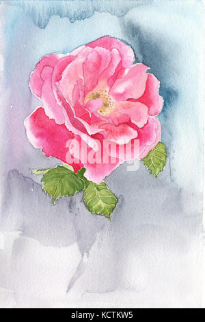 Fleurs rose doux aquarelle fait main Banque D'Images