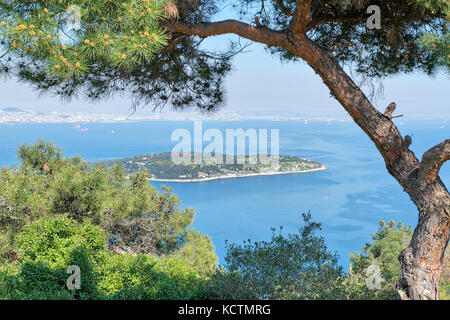 Vue aérienne de l'île de sedef (mère de Pearl Island) encadré par des arbres verts de l'île de Büyükada. Les deux sont des quartiers de la ville de adalar ist Banque D'Images