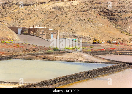 La raffinerie de sel de Janubio (Salinas de Janubio) sur Lanzarote, Canaries, Espagne. Banque D'Images