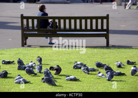 Assis om un banc regarder la vie aller par les touristes George Square Glasgow Banque D'Images