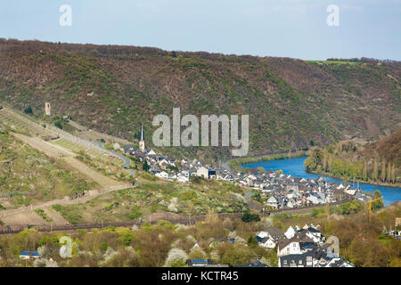 Afficher le long de la vallée de la moselle, dans l'Eifel, en Allemagne, au village de Klotten. Banque D'Images