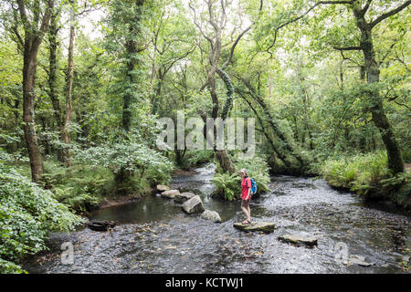 Femme marchant sur stepping stones, Penllergare Valley Estate, Swansea, Wales, UK Banque D'Images