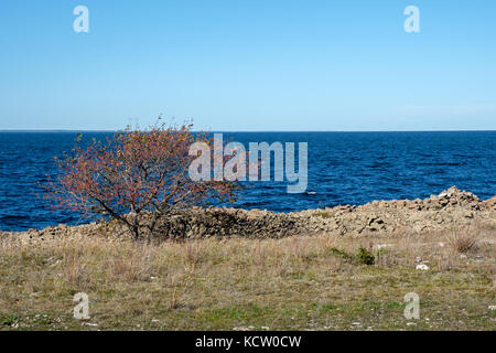 Djupvik sur la côte ouest de l'île suédoise de la mer Baltique Oland en octobre 2017. Oland est une destination touristique populaire en Suède pendant l'été. Banque D'Images