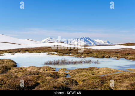 Étang gelé dans la toundra arctique élevé sur le mont Storsteinen Paysage en été. Tromso, Troms, Norvège, Scandinavie Banque D'Images