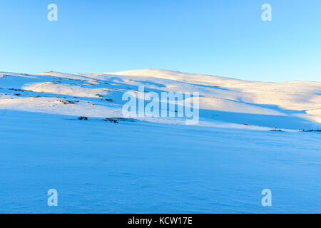 La photo est prise lors d'une randonnée en haut de Kjølen (montagne). Paysage d'hiver ouvert en lumière bleue. Février. kvaløya, Tromsø, Norvège. Banque D'Images