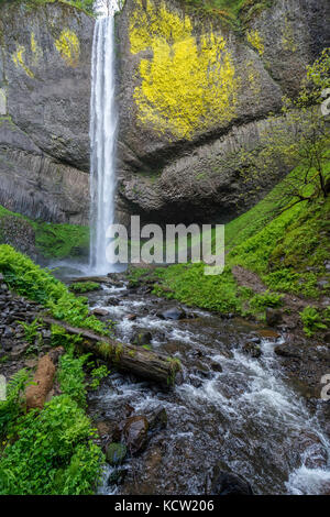 Les chutes Latourell sont une chute d'eau le long de la gorge de la rivière Columbia, en Oregon, dans le parc national Guy W. Talbot. La route historique de Columbia River passe à proximité et, à certains endroits, les chutes inférieures sont visibles de la route. Banque D'Images