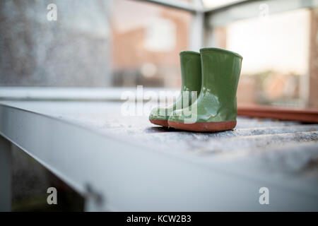 Pot de fleurs mini Wellington semoir sur des étagères en carton ondulé d'argent dans une maison verte ou rempotage Banque D'Images