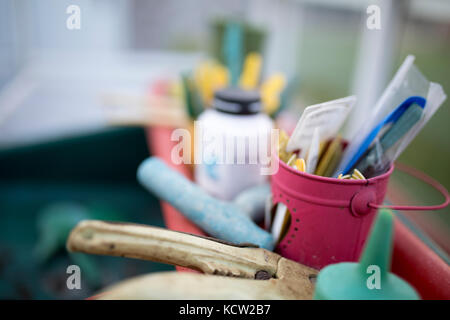 Close up de pot de fleurs et d'outils dans une maison verte ou rempotage Banque D'Images