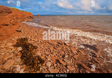 Les falaises en grès rouge le long du golfe du Saint-Laurent, cap nord, Prince Edward Island, canada Banque D'Images