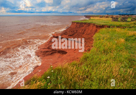 Les falaises en grès rouge le long du golfe du Saint-Laurent, Seacow Pond, Prince Edward Island, canada Banque D'Images