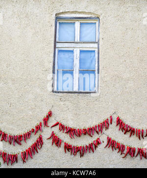 Photo d'un driying paprika piment rouge sur un mur Banque D'Images