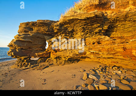 Rivage rocheux le long du golfe du Saint-laurent au lever du soleil, Cap Lumière, Nouveau Brunswick, canada Banque D'Images