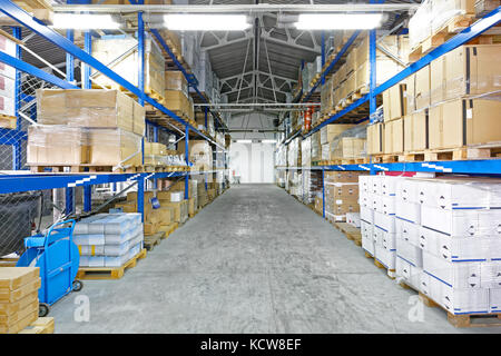 Ligne avec des marchandises à des palettes dans l'entrepôt de distribution Banque D'Images