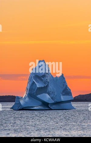 Les icebergs dans l'océan Atlantique (baie de Bonavista ) au coucher du soleil, Eastport (Terre-Neuve et Labrador, Canada Banque D'Images