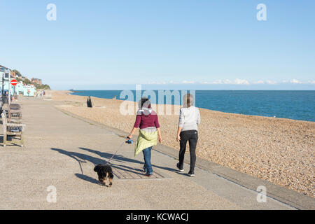 Anne de plage et de la promenade, Sandgate, Kent, Angleterre, Royaume-Uni Banque D'Images