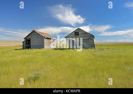 Vieille ferme abandonnée sur silos , près de Monchy, en Saskatchewan, Canada Banque D'Images