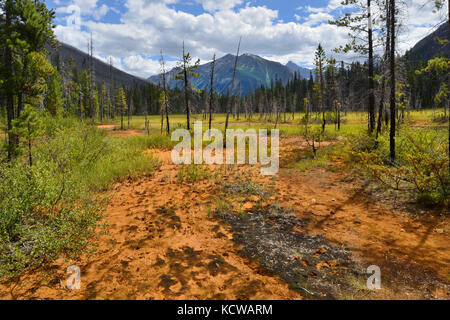 Les pots de peinture. les rocheuses canadiennes, le parc national de Kootenay, Colombie-Britannique, Canada Banque D'Images