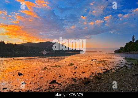 Lever du soleil à Fulford Harbour, parc Drummond, Saltspring Island (îles du golfe), British Columbia, canada Banque D'Images