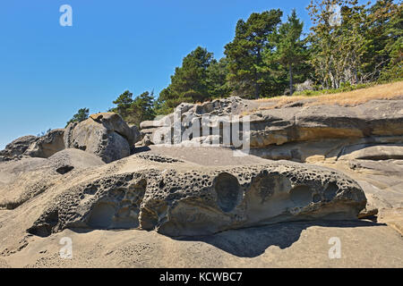 Rivage rocheux le long de la baie Narvaez, île de Saturna (Colombie-Britannique), Canada Banque D'Images