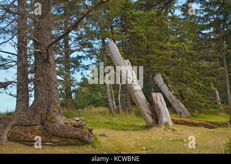 Vieux totems haida à Skedans village. Louise Island. , Haida Gwaii (anciennement îles de la Reine-Charlotte), British Columbia, canada Banque D'Images