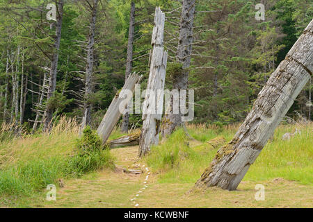 Vieux totems haida à Skedans village. Louise Island. , Haida Gwaii (anciennement îles de la Reine-Charlotte), British Columbia, canada Banque D'Images