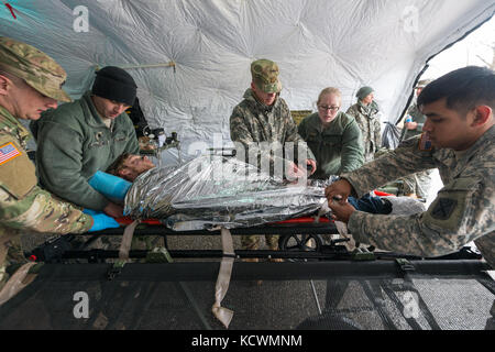 Des soldats américains affectés à la 251st compagnie médicale de soutien de secteur, en Caroline du Sud, la garde nationale et de la 231e compagnie de produits chimiques, Maryland Army National Guard, le processus de décontamination et de triage des patients jusqu'à un entraînement physique à centre rose, Owings Mills, Maryland, le 10 mars, 2017. Les gardes participent à un exercice de validation du nord de l'armée américaine où ils seront la mise en place d'un domaine médical complet et d'effectuer le triage à une victime du point de collecte. (Photo de la garde nationale américaine par tech. sgt. Jorge intriago) ​ Banque D'Images