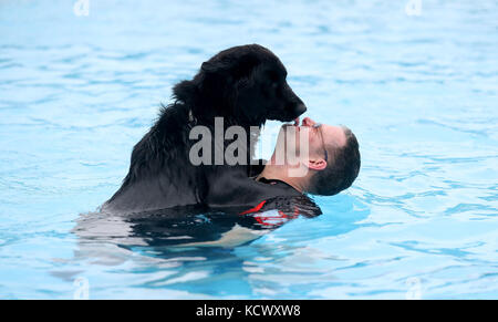 Chris Heath, de Crawley, nage avec son berger allemand, le chien de cross Husky, Pepsi, à Saltdean Lido, dans le parc ovale de Saltdean, tandis que le lido a invité les chiens à profiter de l'installation avant sa fermeture pour l'année. Banque D'Images