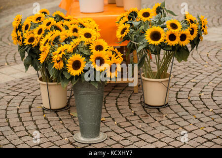 Tournesols sur un marché à vendre Banque D'Images